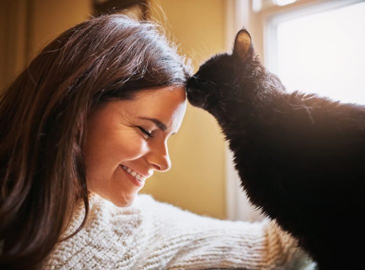 Do cats understand kisses?
